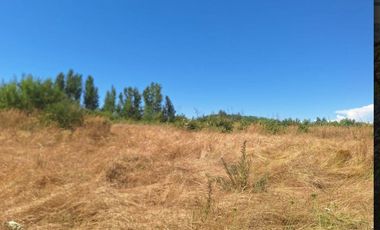 ATENCION INVERSIONISTAS 5.9 HECTAREAS A ORILLAS DE RIO LAJA