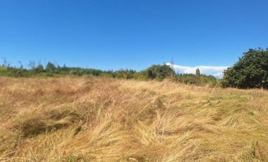 ATENCION INVERSIONISTAS 5.9 HECTAREAS A ORILLAS DE RIO LAJA