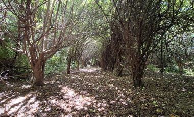 ATENCION INVERSIONISTAS 5.9 HECTAREAS A ORILLAS DE RIO LAJA