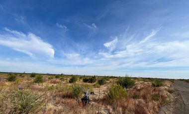 OPORTUNIDAD!!  " PARCELAS DE 5.000 M2 AL ALCANCE DE TODOS"