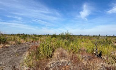 OPORTUNIDAD!!  " PARCELAS DE 5.000 M2 AL ALCANCE DE TODOS"