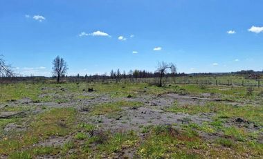 OPORTUNIDAD!!  " PARCELAS DE 5.000 M2 AL ALCANCE DE TODOS"