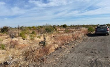 OPORTUNIDAD!!  " PARCELAS DE 5.000 M2 AL ALCANCE DE TODOS"