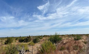 OPORTUNIDAD!!  " PARCELAS DE 5.000 M2 AL ALCANCE DE TODOS"