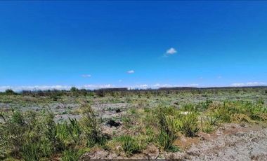 OPORTUNIDAD!!  " PARCELAS DE 5.000 M2 AL ALCANCE DE TODOS"