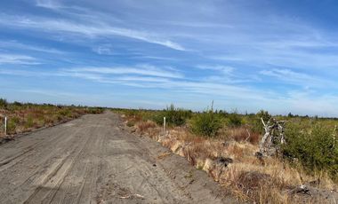 OPORTUNIDAD!!  " PARCELAS DE 5.000 M2 AL ALCANCE DE TODOS"