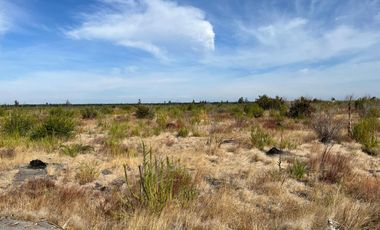 OPORTUNIDAD!!  " PARCELAS DE 5.000 M2 AL ALCANCE DE TODOS"