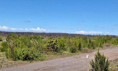 OPORTUNIDAD!!  " PARCELAS DE 5.000 M2 AL ALCANCE DE TODOS"
