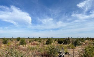 OPORTUNIDAD!!  " PARCELAS DE 5.000 M2 AL ALCANCE DE TODOS"