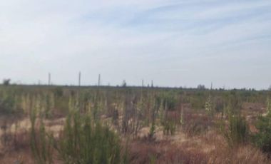 OPORTUNIDAD!!  " PARCELAS DE 5.000 M2 AL ALCANCE DE TODOS"