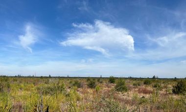 OPORTUNIDAD!!  " PARCELAS DE 5.000 M2 AL ALCANCE DE TODOS"
