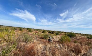 OPORTUNIDAD!!  " PARCELAS DE 5.000 M2 AL ALCANCE DE TODOS"