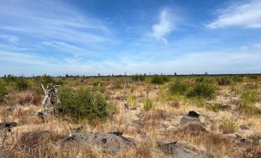 OPORTUNIDAD!!  " PARCELAS DE 5.000 M2 AL ALCANCE DE TODOS"