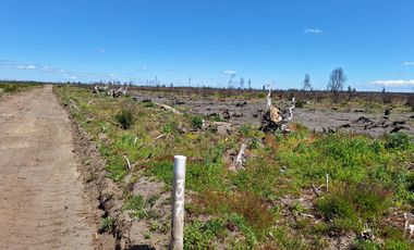 IMPERDIBLE OFERTA DE PARCELAS DE 5.000 M2