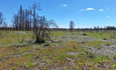 IMPERDIBLE OFERTA DE PARCELAS DE 5.000 M2