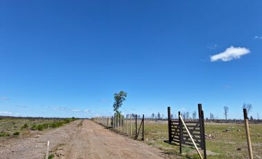 IMPERDIBLE OFERTA DE PARCELAS DE 5.000 M2