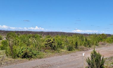 IMPERDIBLE OFERTA DE PARCELAS DE 5.000 M2