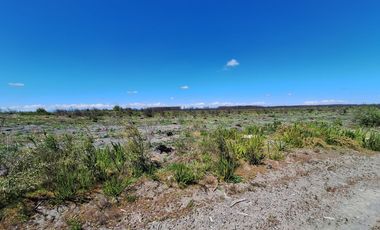 IMPERDIBLE OFERTA DE PARCELAS DE 5.000 M2