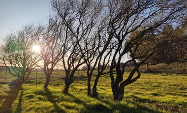 PARCELA DE 6.400 M2  CON CABAÑA