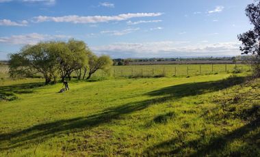 PARCELA DE 6.400 M2  CON CABAÑA