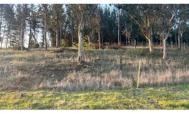 PARCELA DE 6.400 M2  CON CABAÑA