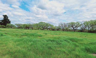 PARCELAS RESIDENCIALES PULMAHUE