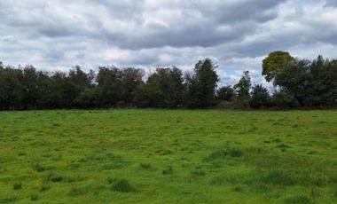 PARCELAS RESIDENCIALES PULMAHUE