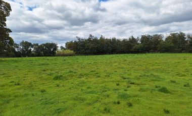 PARCELAS RESIDENCIALES PULMAHUE