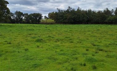 PARCELAS RESIDENCIALES PULMAHUE