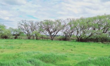 PARCELAS RESIDENCIALES PULMAHUE