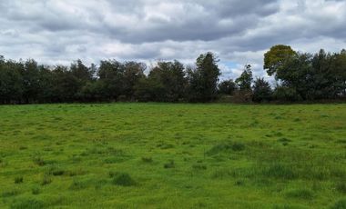 PARCELAS RESIDENCIALES PULMAHUE