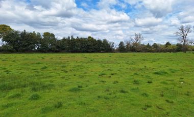 PARCELAS RESIDENCIALES PULMAHUE