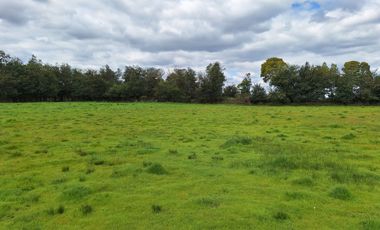 PARCELAS RESIDENCIALES PULMAHUE