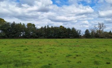 PARCELAS RESIDENCIALES PULMAHUE