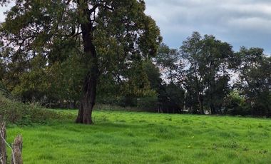 PARCELAS RESIDENCIALES PULMAHUE