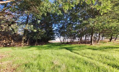 PARCELAS RESIDENCIALES PULMAHUE