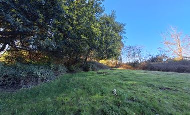 ESPECTACULAR CAMPO CON CASA  DE 3 HECTÁREA