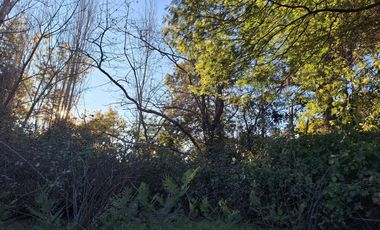 ESPECTACULAR CAMPO CON CASA  DE 3 HECTÁREA