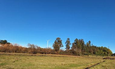 ESPECTACULAR CAMPO CON CASA  DE 3 HECTÁREA