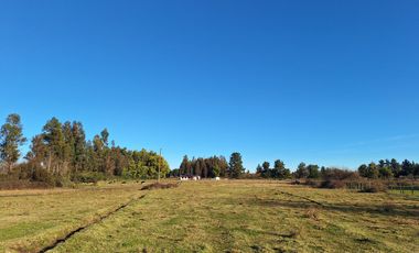 ESPECTACULAR CAMPO CON CASA  DE 3 HECTÁREA