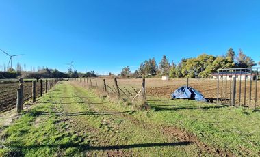 ESPECTACULAR CAMPO CON CASA  DE 3 HECTÁREA