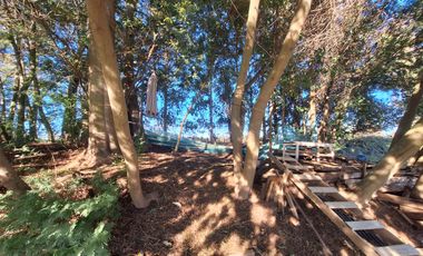 ESPECTACULAR CAMPO CON CASA  DE 3 HECTÁREA