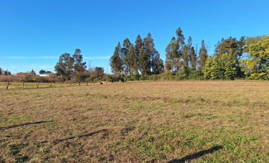 ESPECTACULAR CAMPO CON CASA  DE 3 HECTÁREA