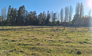 ESPECTACULAR CAMPO CON CASA  DE 3 HECTÁREA