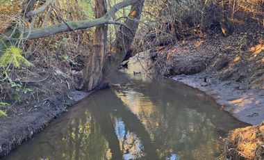 ESPECTACULAR CAMPO CON CASA  DE 3 HECTÁREA