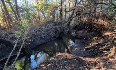 ESPECTACULAR CAMPO CON CASA  DE 3 HECTÁREA
