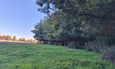 ESPECTACULAR CAMPO CON CASA  DE 3 HECTÁREA