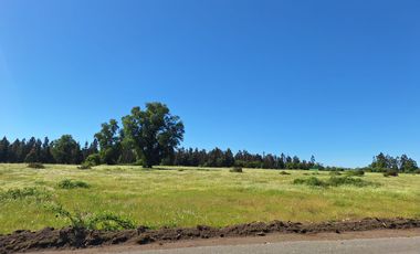 PARCELAS AGRORESIDENCIALES DE 5.000 M2 A 5 MINUTOS DE LOS ÁNGELES