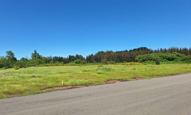 PARCELAS AGRORESIDENCIALES DE 5.000 M2 A 5 MINUTOS DE LOS ÁNGELES