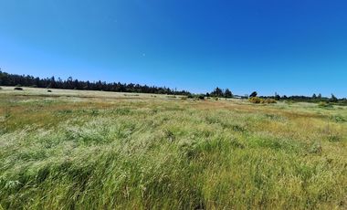 PARCELAS AGRORESIDENCIALES DE 5.000 M2 A 5 MINUTOS DE LOS ÁNGELES